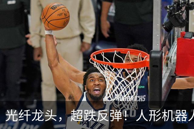 光纤龙头，超跌反弹！人形机器人迎来重磅玩家，5只概念股抢先披露业绩预告