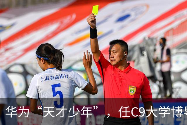 华为“天才少年”，任C9大学博导！