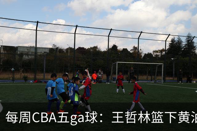 每周CBA五ga球：王哲林篮下黄油手领衔