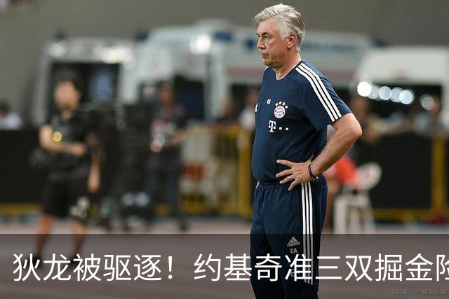 狄龙被驱逐！约基奇准三双掘金险胜太阳 穆雷39+7三分布劳恩31分