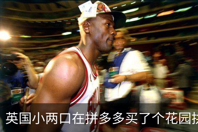 英国小两口在拼多多买了个花园拱门，收到包裹懵逼了！网友：这就是为什么有些人不该获得选举权的原因...