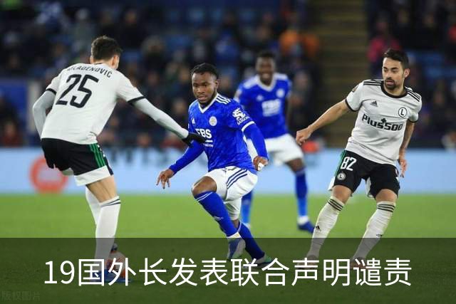 19国外长发表联合声明谴责