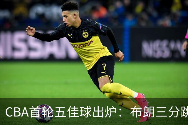 CBA首轮五佳球出炉：布朗三分跳投准绝杀领衔